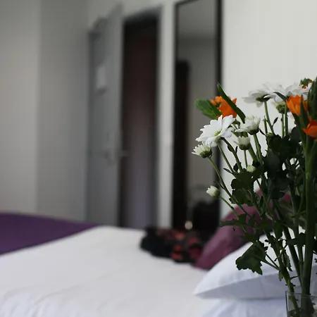 Alane Hotel 3*