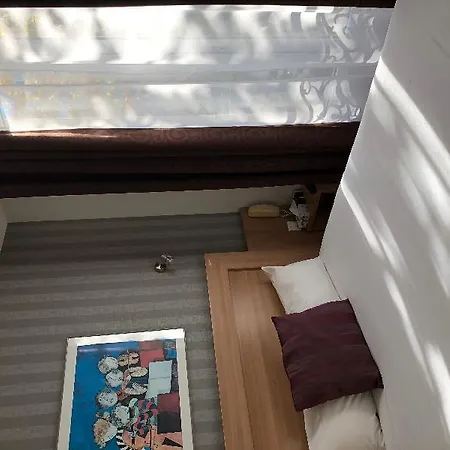 阿拉娜酒店 酒店 3*